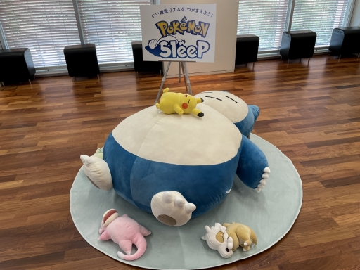 ���������꡼ No.012�Υ���ͥ������ / ��Pokémon Sleep�פ��ۿ�����ȯɽ����HIKAKIN���󡤴ݻ���Τ�व�󡤶Ӹ��2�ͤ��б餷�����٥�ȡ�FUN SLEEP SUMMIT�פ��ݡ���