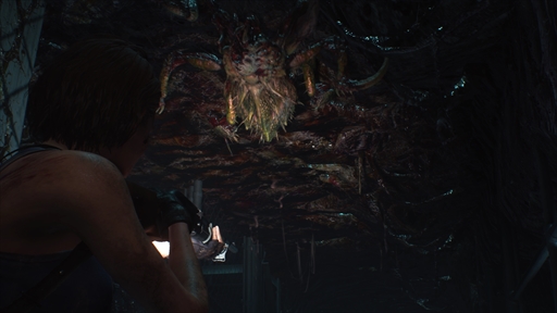 BIOHAZARD RE:3ץɥ쥤ǥ⥹