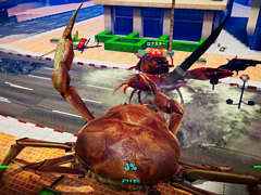 Switch版「カニノケンカ -Fight Crab-」が本日発売。挿入歌2曲の歌詞付きMV(ショートVer.)が公開