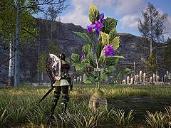 MMORPG「BLESS UNLEASHED」のコンテンツガイド“巨大な採集物”の動画が公開