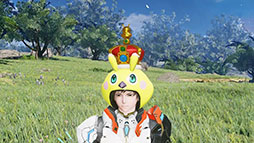 画像ギャラリー No.011のサムネイル画像 / 「NGS ver.2」,オルタレルム探索:戦闘セクションに「異界戦線:凍土エリア峡江部」が登場