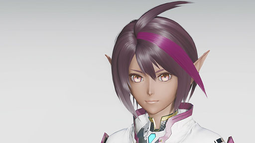 画像ギャラリー No.024のサムネイル画像 / 「NGS ver.2」,オルタレルム探索:戦闘セクションに「異界戦線:凍土エリア峡江部」が登場