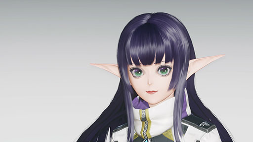 画像ギャラリー No.023のサムネイル画像 / 「NGS ver.2」,想定演習:焦砦の掃討戦などを追加するアップデートを実施