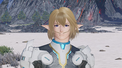 画像ギャラリー No.026のサムネイル画像 / 「NGS ver.2」,想定演習:焦砦の掃討戦などを追加するアップデートを実施