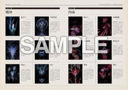 画像集#010のサムネイル/「ディスコ エリジウム ザ ファイナル カット」,パッケージ版予約特典“捜査ハンドブック”の内容を一部公開。基本知識が集約された小冊子