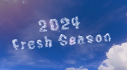  No.003Υͥ / ֥ץȥ3ס2024 Fresh Seasonפα֥24ĥػáפξܺ٤餫