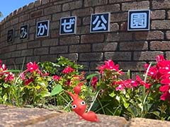 ピクミンと横須賀市をひまわり畑に! 「Pikmin Bloom Tour 2023:横須賀」体験レポート。開発者にこだわりも聞いた