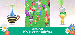 ꡼ No.004 | Pikmin Bloom