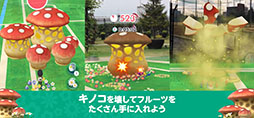 ꡼ No.005 | Pikmin Bloom