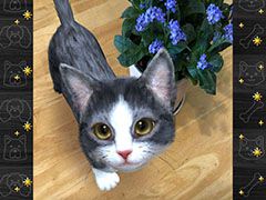 「with My CAT - 猫とくらそう -」が4月5日にリリース。スマホでペットとふれ合える育成シミュレーションゲーム