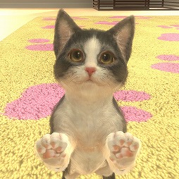 #005Υͥ/ǭȽв񤨤SLGwith My CAT - ǭȤ餽 -פۿȡץ쥤䡼˻ǭȿ벻ǧǽ