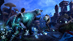 ꡼ No.002 | The Elder Scrolls Online