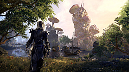 ꡼ No.004 | The Elder Scrolls Online