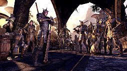 ꡼ No.005 | The Elder Scrolls Online