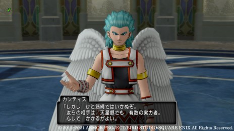 画像集#005のサムネイル/「ドラゴンクエストX 天星の英雄たち オンライン」,第4の試練場と“ウェディ”の英雄・リナーシェの情報が本日公開