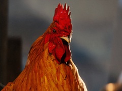 ��ARC Raiders�ס������ۿ��Υ��åץǡ��ȡ�Flashpoint�ɤξܺ٤�����������ʥޥå״Ķ�������ǽ���ɲä�»�