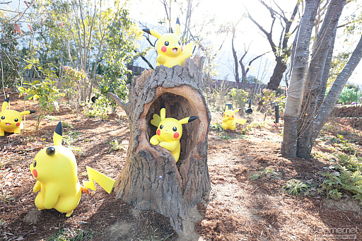 画像ギャラリー No.008のサムネイル画像 / 「ポケパーク カントー」ってどんなところ? 体験して分かった楽しさと,来園前に知っておきたいポイント