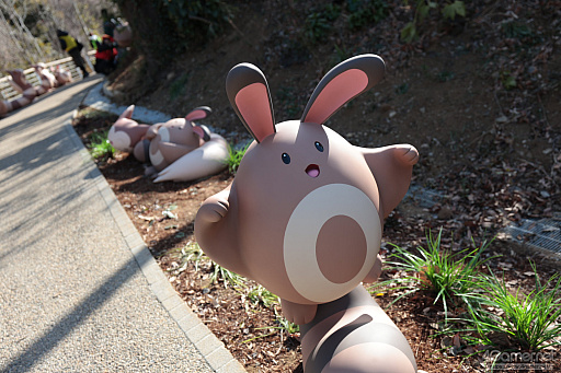 画像ギャラリー No.017のサムネイル画像 / 「ポケパーク カントー」ってどんなところ? 体験して分かった楽しさと,来園前に知っておきたいポイント