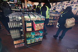 画像ギャラリー No.087のサムネイル画像 / 「ポケパーク カントー」ってどんなところ? 体験して分かった楽しさと,来園前に知っておきたいポイント