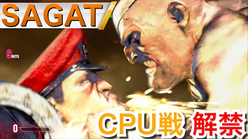 ڥ6ۥåȡSAGATˤCPUץ쥤Хå/Х奦/Х٥/Х륷