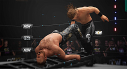 ꡼ No.005 | AEW: Fight Forever