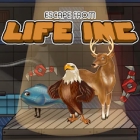 ѥå