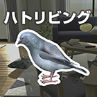 ハトリビング|鳩がリビングで豆を食べるゲーム