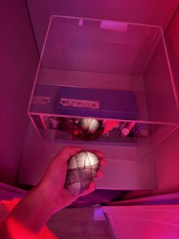 画像ギャラリー No.014のサムネイル画像 / サイレントヒル×第四境界の「SILENT HILL f　残置物展」を体験。今年のKONAMIブースは，メインステージを挟んで陰と陽？［TGS2025］