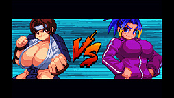 ストリップファイターZERO