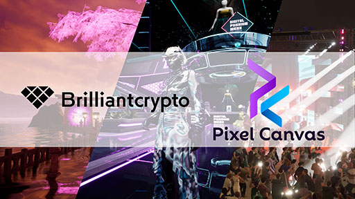 ꡼ No.001Υͥ / Brilliantcryptoסꥫμ᥿СץåȥեPixel Canvasפȥѡȥʡåפ