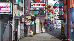 ���������꡼ No.003�Υ���ͥ������ / �Υץ쥤��ݡϰ��ˤϰ��򡣲��ʽ������������ȥ���ADV�֥ͥ��󥯥�å��� -Echoes of the Lost-�ס����������ޤ�и�ȡ��Ӥ��̤���ǰ