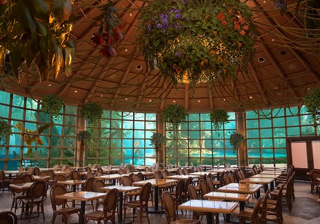 ���������꡼ No.012�Υ���ͥ������ / �֥��ϥ�磻�륺�ס�USJ�Υ���ܥ쥹�ȥ��11��19��������ָ���ǥ����ץ󡣥��ȥ������ʤɤ�����Ǥ���AR������ץ�꡼��Ʊ������