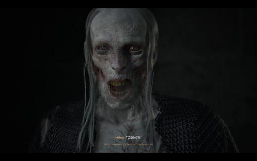 画像ギャラリー No.014のサムネイル画像 / 「The Blood of Dawnwalker」は,プレイヤーの選択で変化するゲームプレイが魅力のオープンワールドRPG。45分超のプレゼン内容をお届け