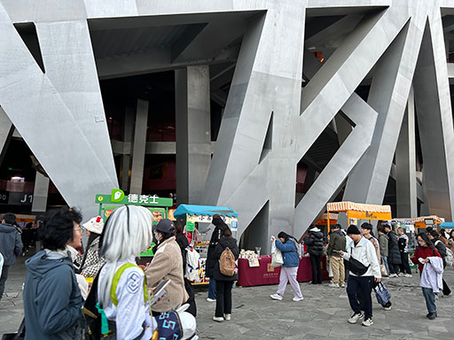 画像ギャラリー No.009のサムネイル画像 / 来場者数6万2196人はeスポーツ大会のギネス記録！？ 北京国家体育場で行われた「Honor of Kings」のプロリーグ「KPL」決勝戦レポートをお届け