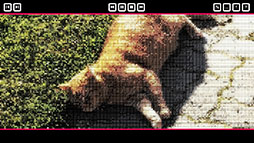 画像ギャラリー No.009のサムネイル画像 / テキストを動かしてネコをゴールまで送り届けるネコ押しパズル「Push The Cat with WASD」,Steamで本日発売