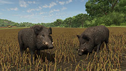 画像ギャラリー No.004のサムネイル画像 / 「Farming Simulator 25」，オランダの農機ブランド「Vredo」やイノシシを追加する拡張パックを配信