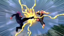 ꡼ No.003Υͥ / ֥ʥޥ֥ ͺΥȥ꡼ɡס߷ܿ50ܤˡ12ǯ֤Υ꡼ǿϹĴʥ