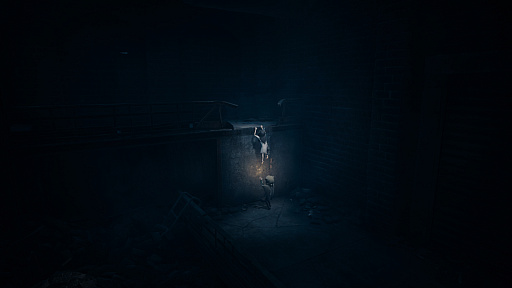 画像ギャラリー No.006のサムネイル画像 / ［プレイレポ］ホラーアクションADV「REANIMAL」，マスクを被った姉弟が，恐ろしい島からの脱出を目指す。ローカルやオンラインでの協力プレイにも対応