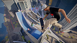 ꡼ No.010Υͥ / ںΥ١֥ۡ󥰥饤ȡӡȡפskate.פȯ䤵 2025ǯ915921