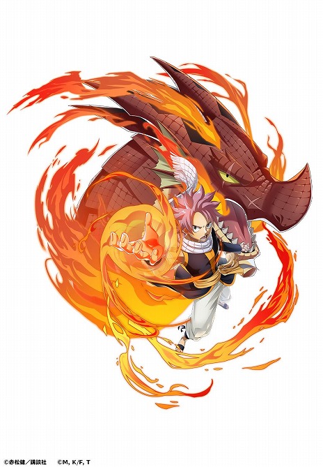 ꡼ No.008Υͥ / ˡͥޡޤۤѥ˥åסߥ˥FAIRY TAILץܤ򳫻ϡʥġ롼륶ǥ