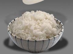ただひたすらにご飯を盛るだけのゲーム「ゴハン単品」,体験版の配信をSteamで開始。遊んでいるうちにご飯が食べたくなるかも?