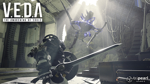 ���������꡼ No.003�Υ���ͥ������ / �������饤�����Ǥ�Ƴ��������V.E.D.A: The Awakening of Souls�פϡ�������饤���Ρɥȥ졼�˥󥰥�����ɤˤʤ��WePlay2025��