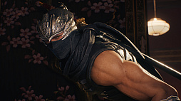 ꡼ No.008 | NINJA GAIDEN 2 Black