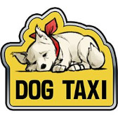 画像ギャラリー No.014のサムネイル画像 / 「ソニックレーシング クロスワールド」，アップデート「Ver.1.3.1」を配信