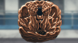 Baki Hanma: Blood Arena