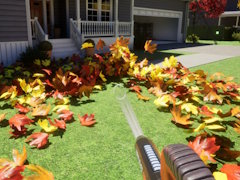 ٻȤäƤߤäȸդ᤭ФɤΥLeaf Blower Co.פθǸ