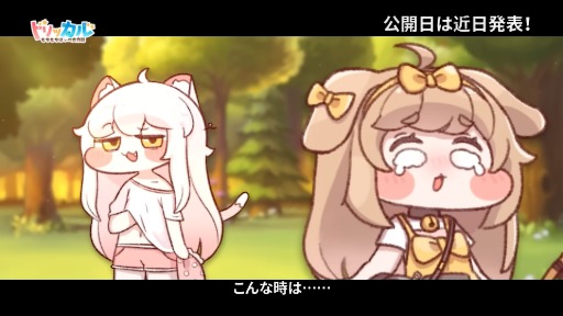 ꡼ No.013Υͥ / ֥ȥå롦ۤåסơ޷֥ȡ ХפͽPVÿ͡Хβ³ޤ