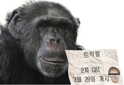 画像ギャラリー No.011のサムネイル画像 / ［インタビュー］家を抵当に入れた真因は，PDの確信犯的な嘘だった。「トリッカル」開発元の代表と，「代表を売った」副代表が語る波瀾万丈な物語