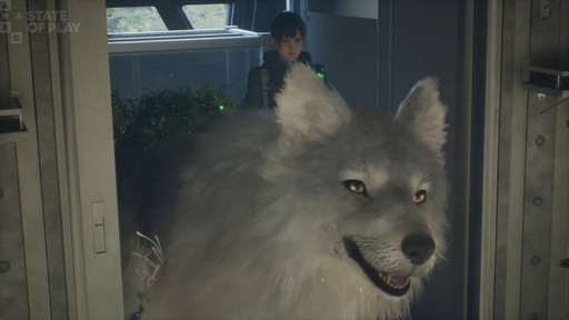 画像ギャラリー No.012のサムネイル画像 / ゲームフリークの最新作「Beast of Reincarnation」，2026年8月4日に発売。終末後の日本を舞台に，女性主人公と犬の冒険を描く