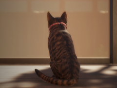 ֶᵦΤˤĤơԤʥꥪݤ롤ǭ͸Υۥ顼֤ޤǭƨޤס1027ȯ